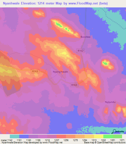 Nyanhwale,Tanzania Elevation Map