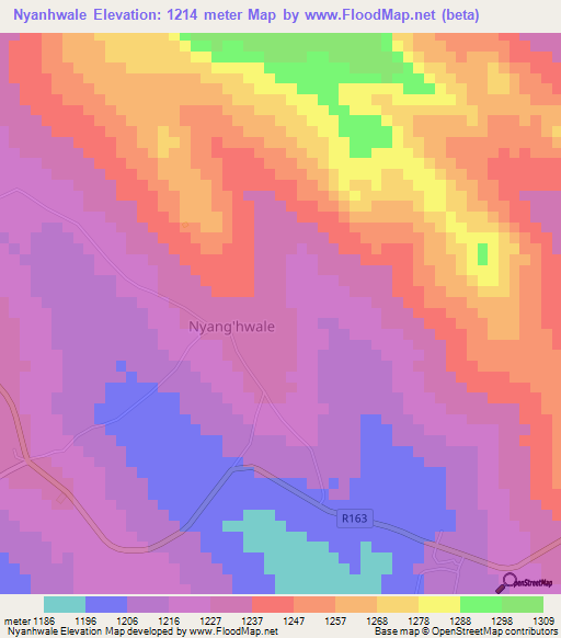 Nyanhwale,Tanzania Elevation Map