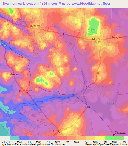 Nyanhemwa,Tanzania Elevation Map