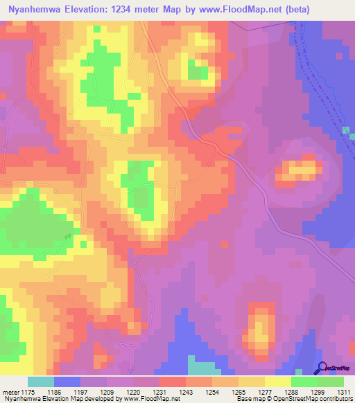 Nyanhemwa,Tanzania Elevation Map