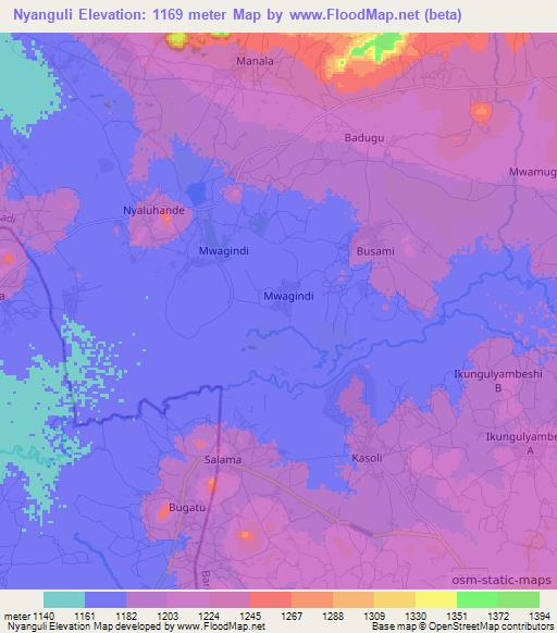 Nyanguli,Tanzania Elevation Map
