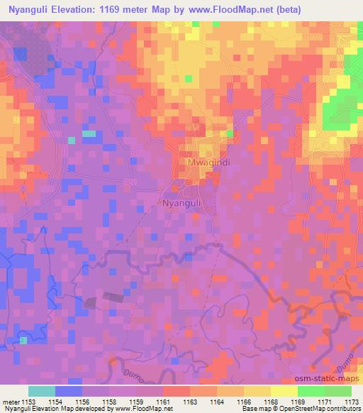 Nyanguli,Tanzania Elevation Map