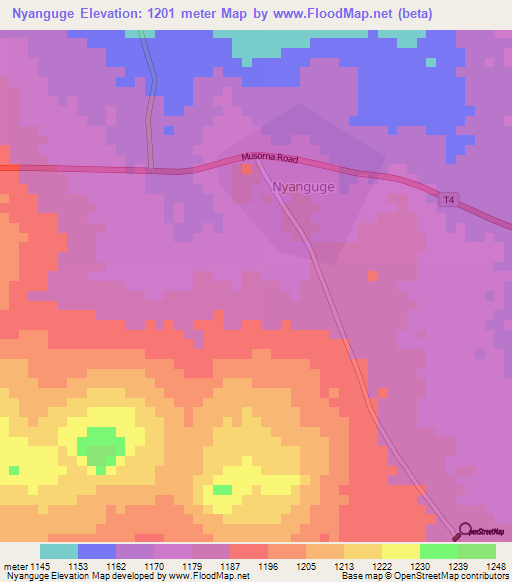 Nyanguge,Tanzania Elevation Map