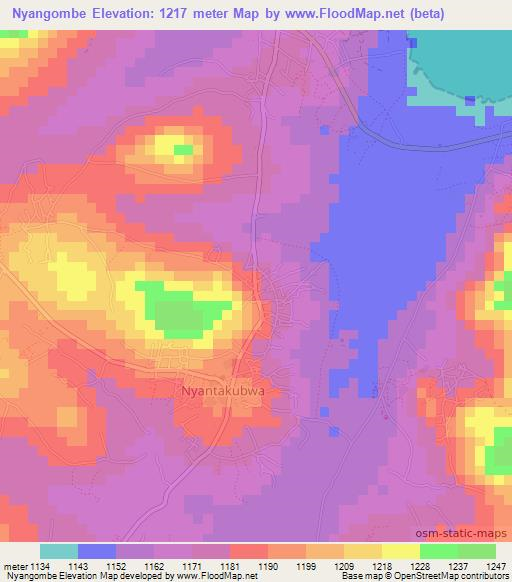 Nyangombe,Tanzania Elevation Map