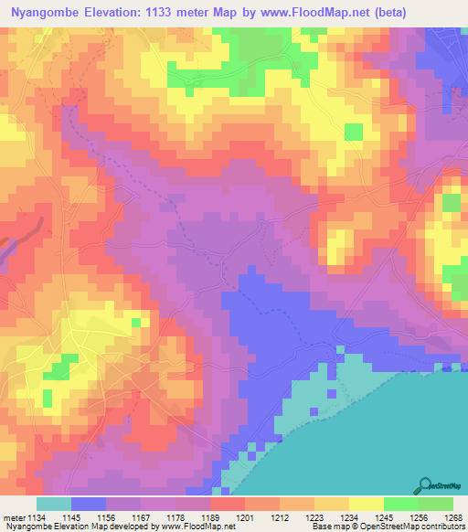 Nyangombe,Tanzania Elevation Map