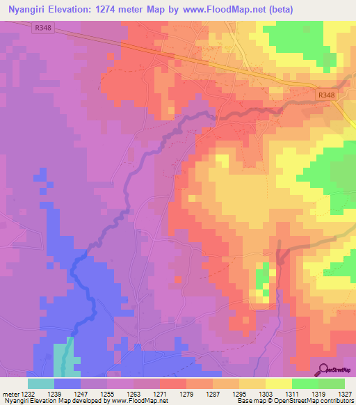 Nyangiri,Tanzania Elevation Map