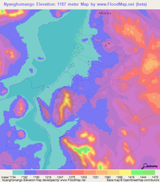 Nyanghomango,Tanzania Elevation Map