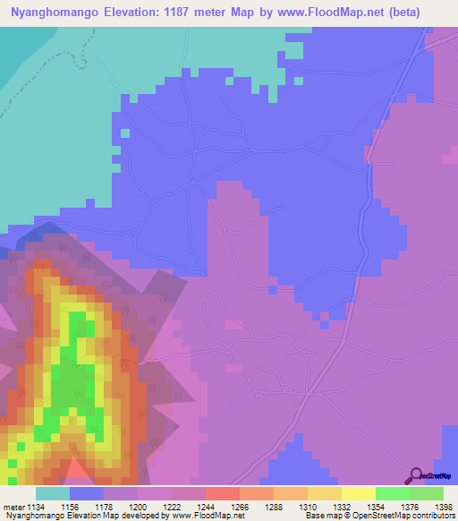 Nyanghomango,Tanzania Elevation Map