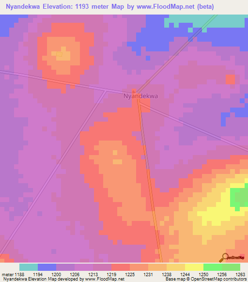 Nyandekwa,Tanzania Elevation Map