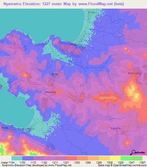 Nyamwiru,Tanzania Elevation Map