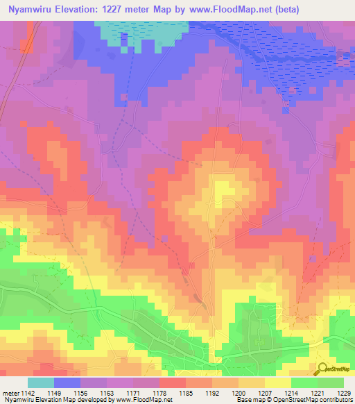 Nyamwiru,Tanzania Elevation Map