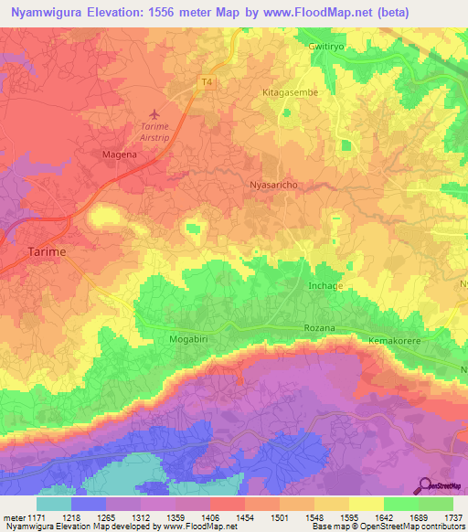 Nyamwigura,Tanzania Elevation Map