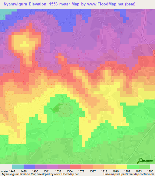 Nyamwigura,Tanzania Elevation Map