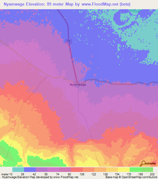 Nyamwage,Tanzania Elevation Map