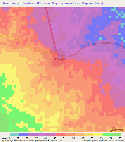 Nyamwage,Tanzania Elevation Map