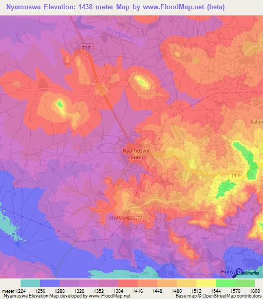 Nyamuswa,Tanzania Elevation Map