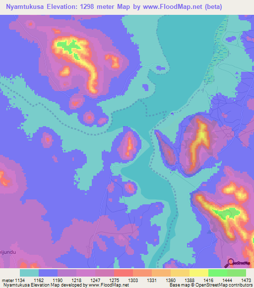 Nyamtukusa,Tanzania Elevation Map