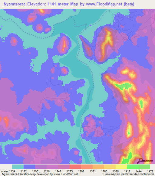 Nyamtereza,Tanzania Elevation Map