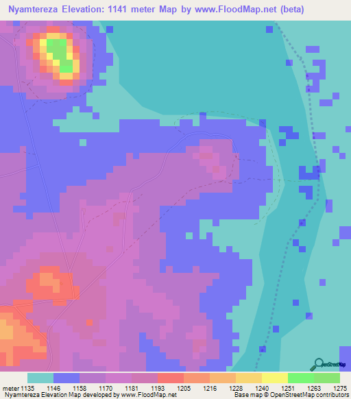 Nyamtereza,Tanzania Elevation Map