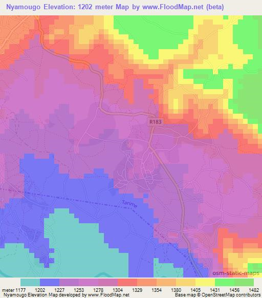 Nyamougo,Tanzania Elevation Map