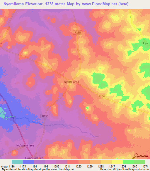 Nyamilama,Tanzania Elevation Map