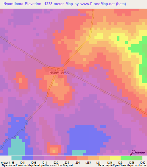 Nyamilama,Tanzania Elevation Map