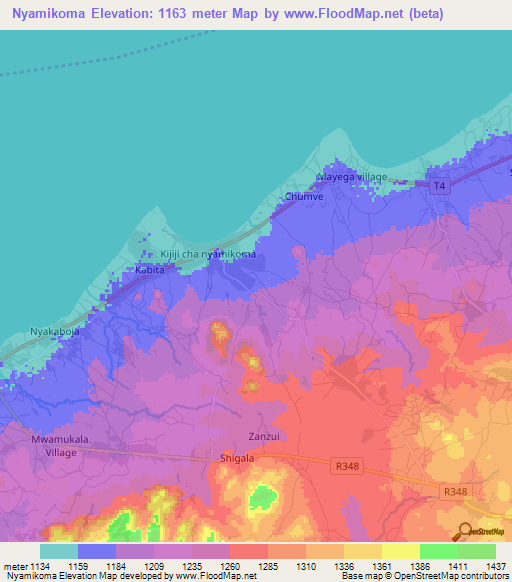 Nyamikoma,Tanzania Elevation Map