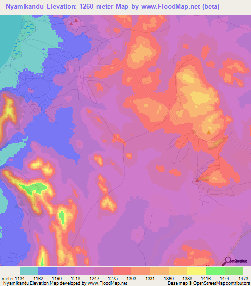 Nyamikandu,Tanzania Elevation Map