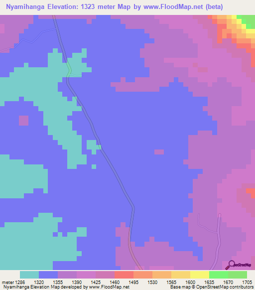 Nyamihanga,Tanzania Elevation Map