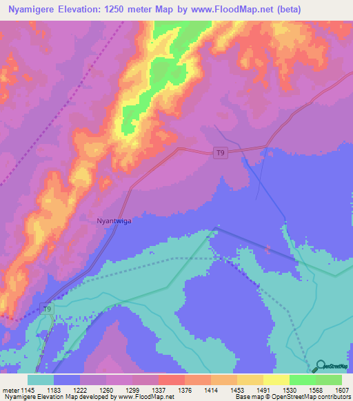 Nyamigere,Tanzania Elevation Map