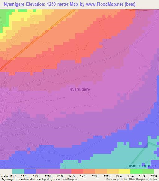 Nyamigere,Tanzania Elevation Map