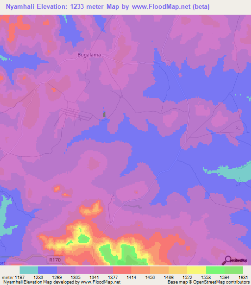 Nyamhali,Tanzania Elevation Map