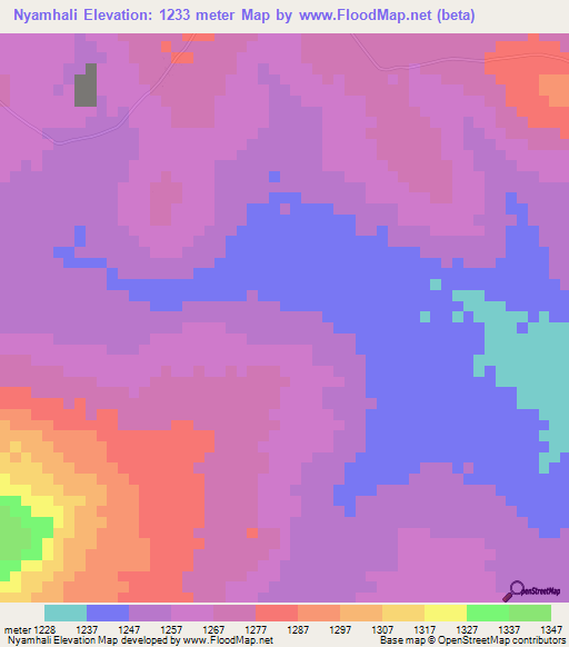 Nyamhali,Tanzania Elevation Map