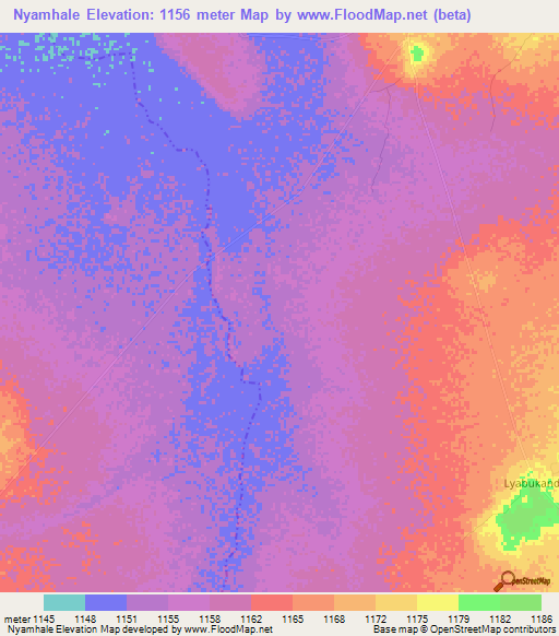 Nyamhale,Tanzania Elevation Map