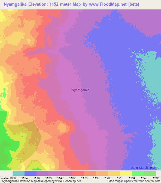 Nyamgalika,Tanzania Elevation Map