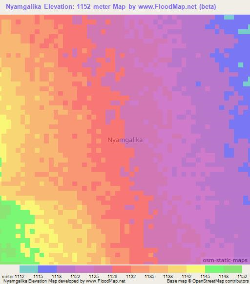 Nyamgalika,Tanzania Elevation Map