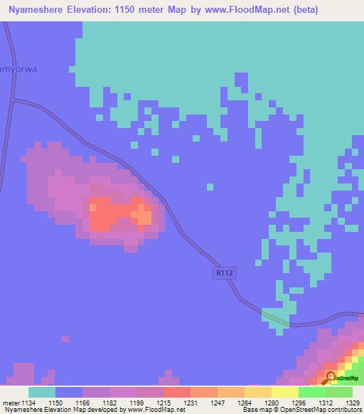 Nyameshere,Tanzania Elevation Map