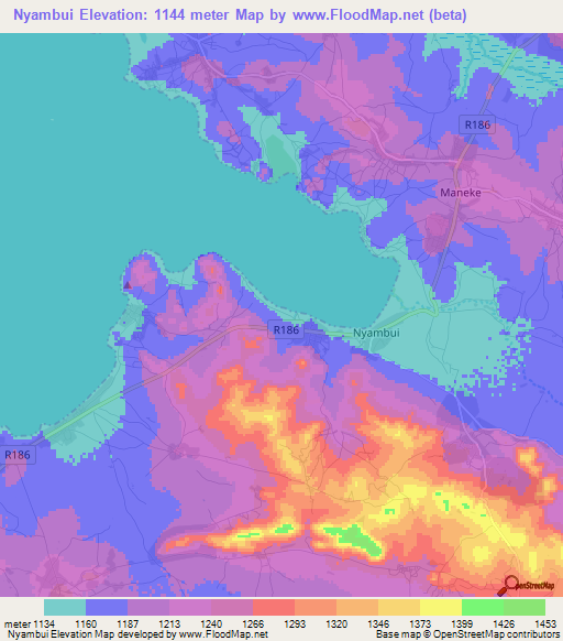 Nyambui,Tanzania Elevation Map