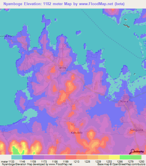 Nyamboge,Tanzania Elevation Map