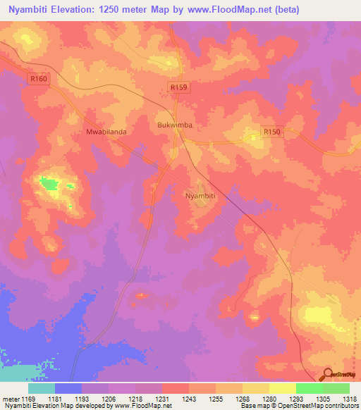 Nyambiti,Tanzania Elevation Map