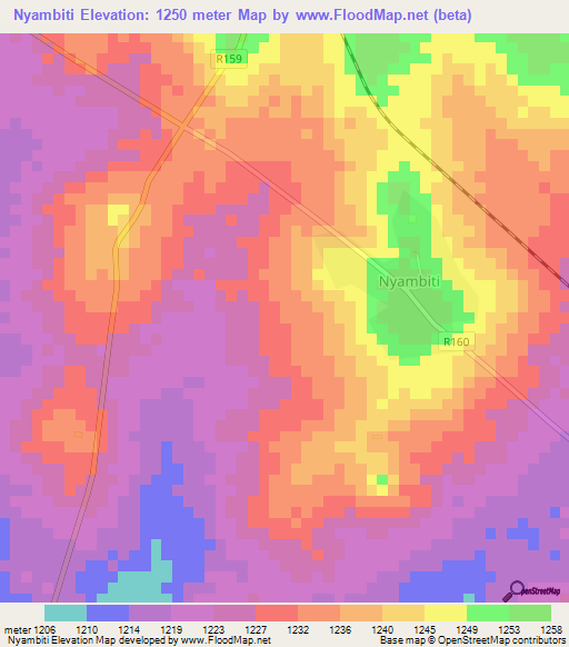 Nyambiti,Tanzania Elevation Map