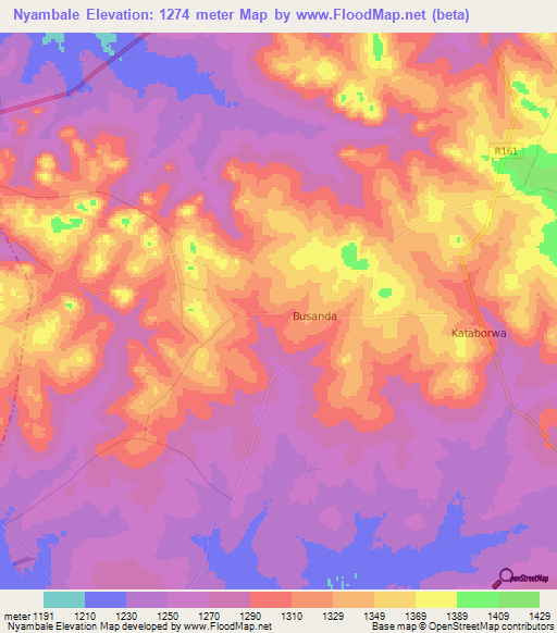 Nyambale,Tanzania Elevation Map