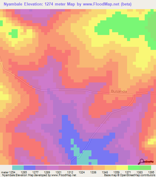 Nyambale,Tanzania Elevation Map