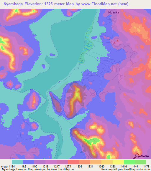 Nyambaga,Tanzania Elevation Map