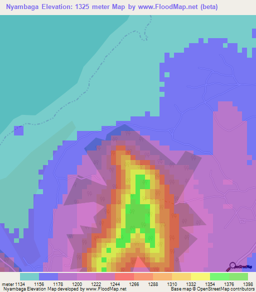 Nyambaga,Tanzania Elevation Map