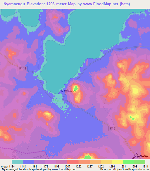 Nyamazugu,Tanzania Elevation Map