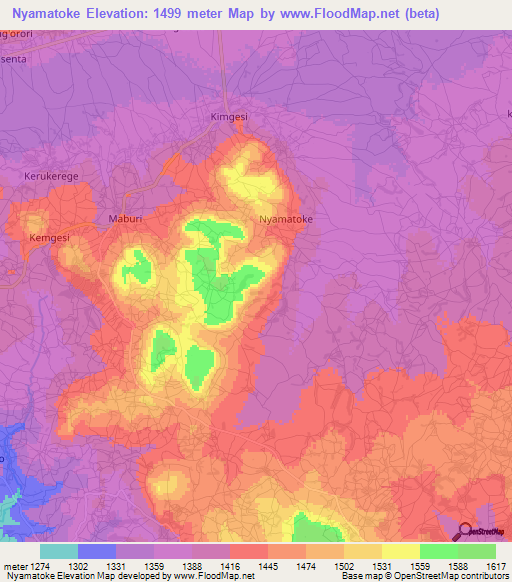 Nyamatoke,Tanzania Elevation Map