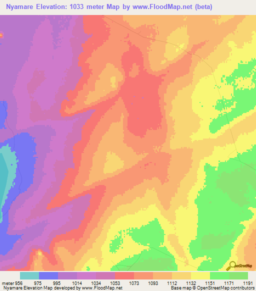Nyamare,Tanzania Elevation Map