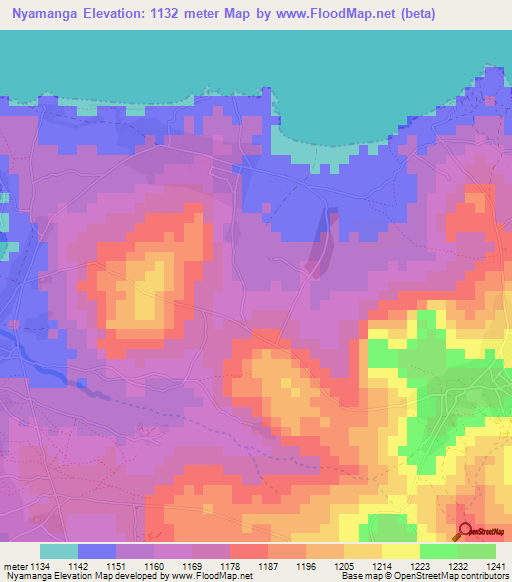 Nyamanga,Tanzania Elevation Map