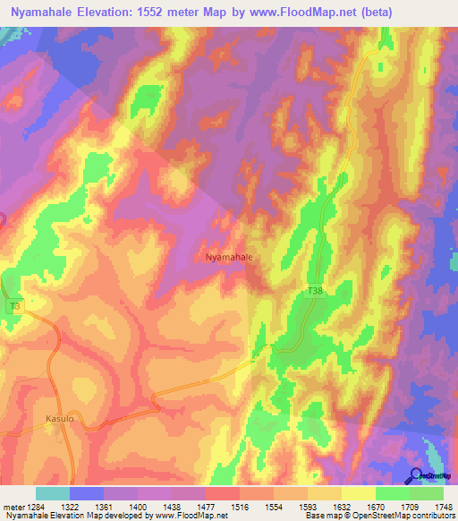 Nyamahale,Tanzania Elevation Map